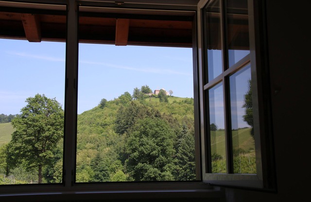 Overnight stay in the winery Neveu - Schlossblick