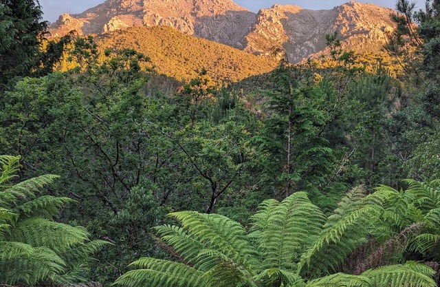 Owen: Spacious very comfy, genuine quality & views, quiet yet close to amenities