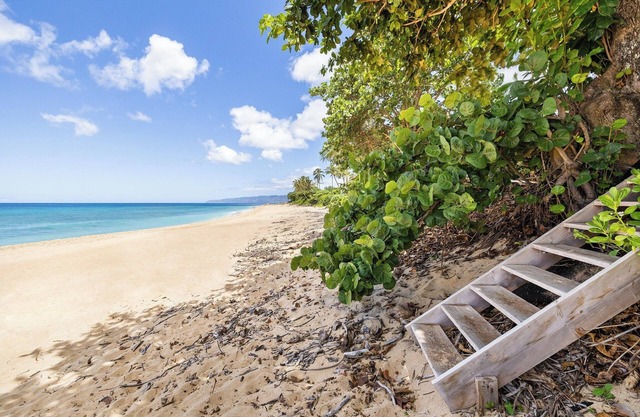 Pacific Pearl Beachfront Estate