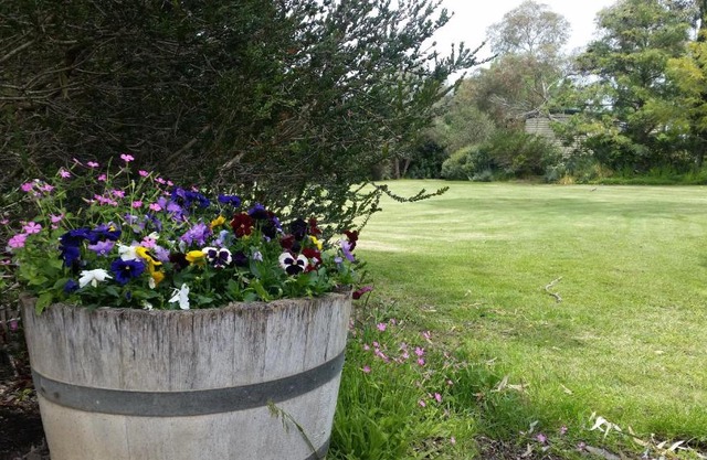 Padthaway Caravan Park