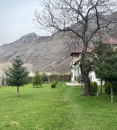 Paja Guesthouse - Camping