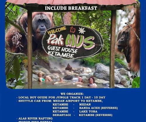 Pak Mus Guest House Ketambe - 0813-7072-1793