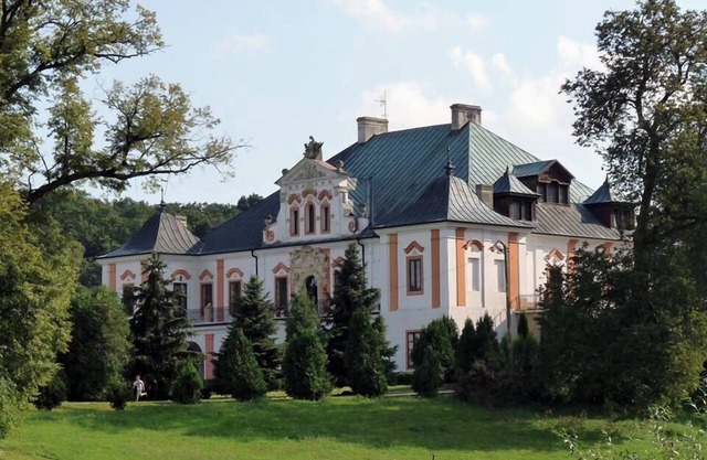 Palac w Czyzowie szlacheckim