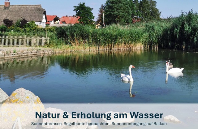 Paradise on the Peenestrom quiet, small priv. Beach, Terrace - Ziemitz -