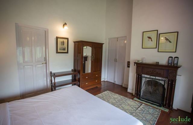 Parakeet, Seclude Taradale