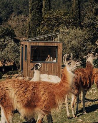 Parcel Tiny House Barroux, entouré par les lamas près du Mont Ventoux
