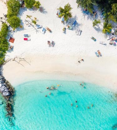 Pavona Maldives