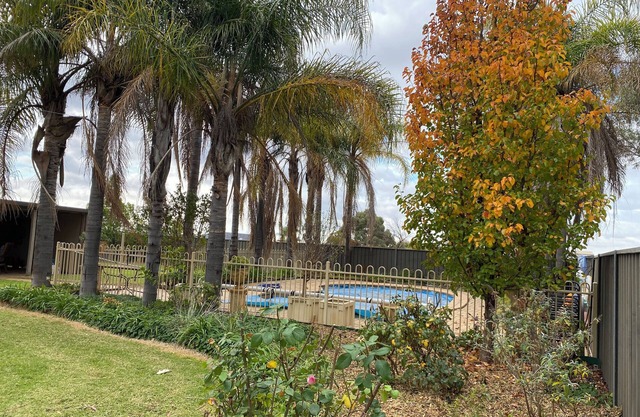 Peaceful 4br home with pool. Room for the whole family including your fur babies