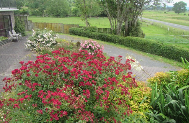 Peaceful Miranda area and less than an hour to AucklandnSleeps three