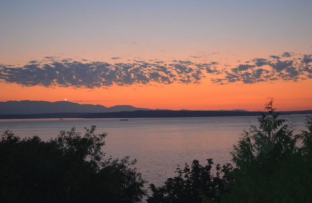 Peaceful Seattle Luxury Estate Romantic Seaview Guesthouse