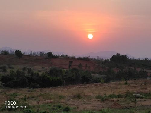 Peacock Haven Agro-eco Tourism Farm