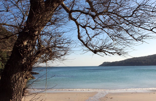 Pensión Playa de Sardiñeiro
