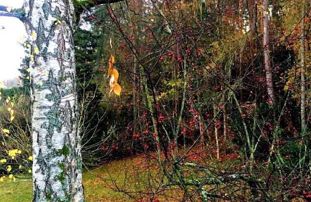 Pension Jägerschenke