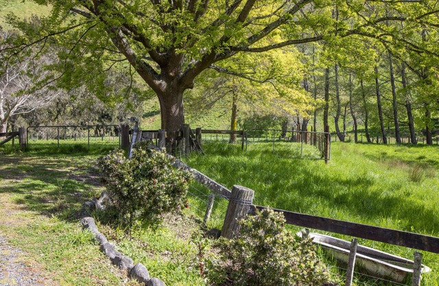 Perfect getaway from the hustle and bustle of city life.