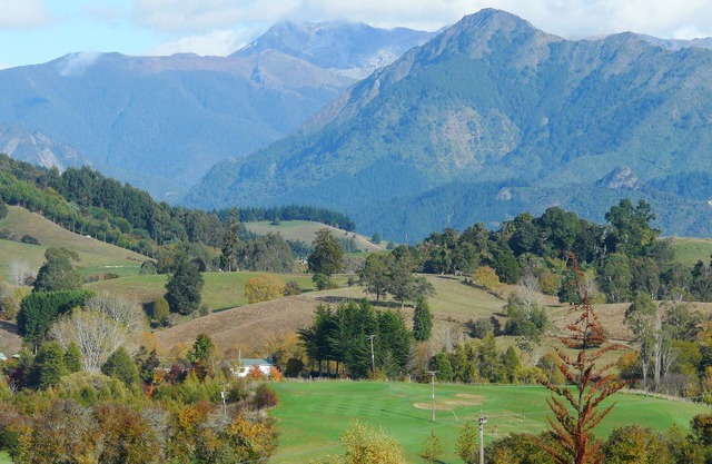 Perfect Rural Escape - Couples, Families, Pets - Discounted Winter Rates