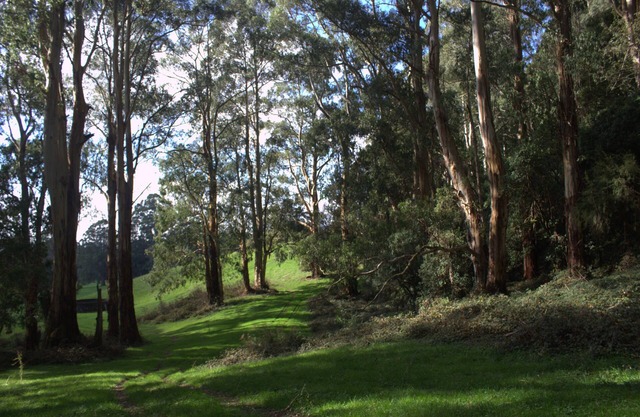 Perfect Tiny House in Nature