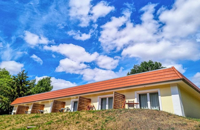 Pet friendly apartment