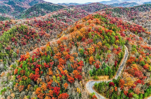 Pet-Friendly Smoky Mtn Lodge Hot Tub Views
