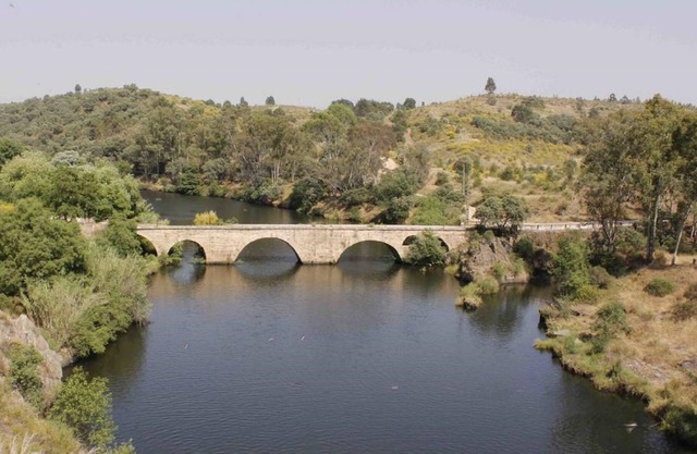 Petals of the Tagus - CASA XARA