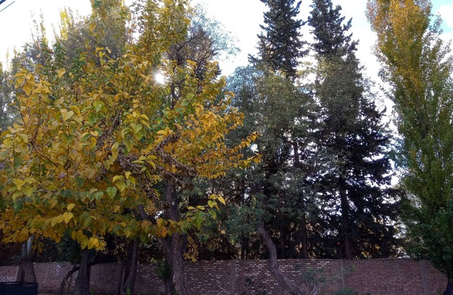 Petit Chateau J&sr En la Ruta del Vino y la Aceituna, Maipu,mza, Argentina