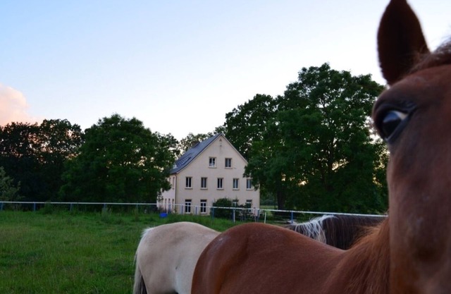 Pferdehof Muhlitz on Rügen, an idyll for individualists