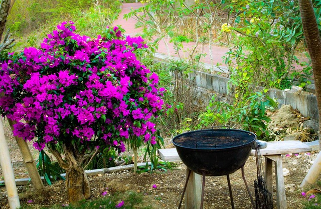 Pier26 Bali Homestay