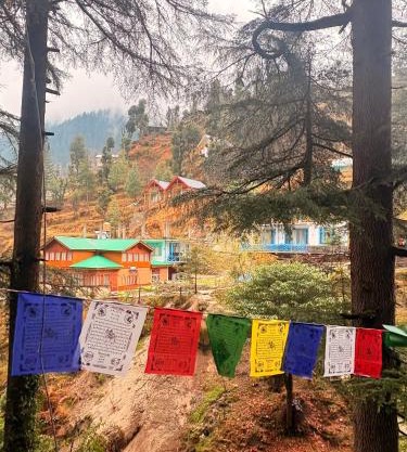 Pine Nest Deluxe Rooms