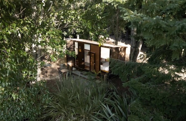 Pine Nut Corner by Tiny Away