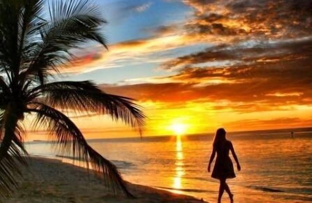 Plus View Maldives