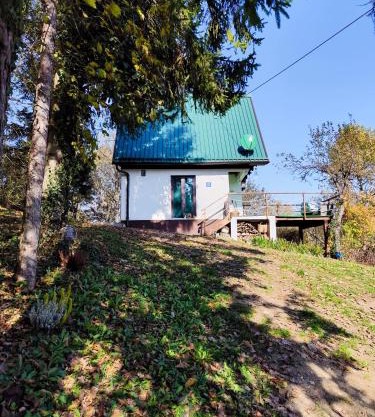 Pod zelenim krovom