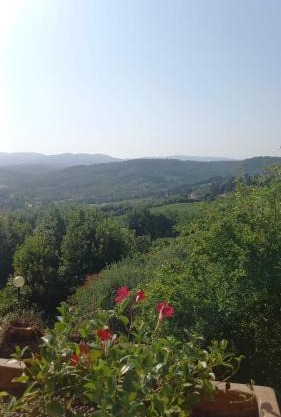 Podere Salceto, terrazza sul Chianti