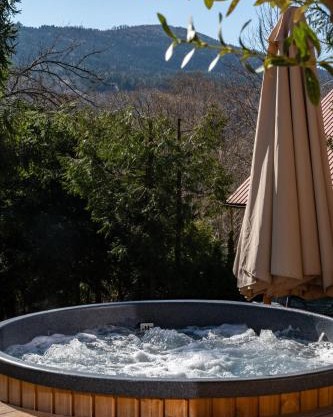 Polana Słowikowa 5 star- domek w górach z jacuzzi, sauna,basen,ogród z lasem, kominek i narty