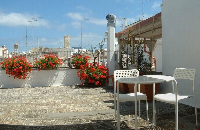 Polignano a Mare, Red Flowers house with terrace