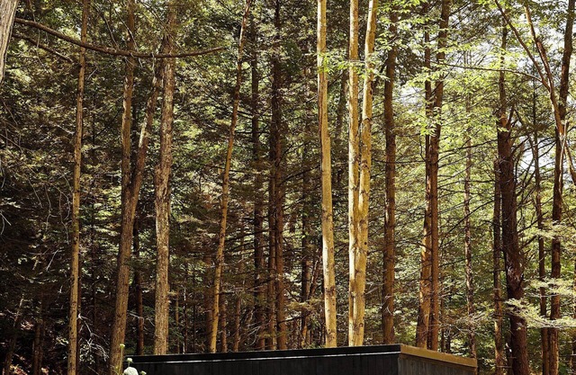 Postcard Cabins Eastern Catskills, Outdoor Collection by Marriott Bonvoy