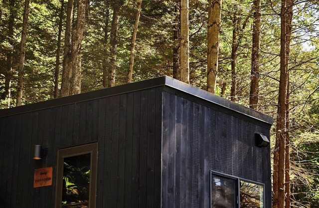 Postcard Cabins Piney Woods
