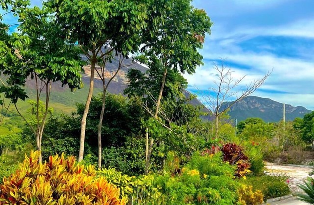 Pousada Encanto dos Mognos