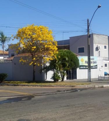 Pousada Flor Dos Ipês