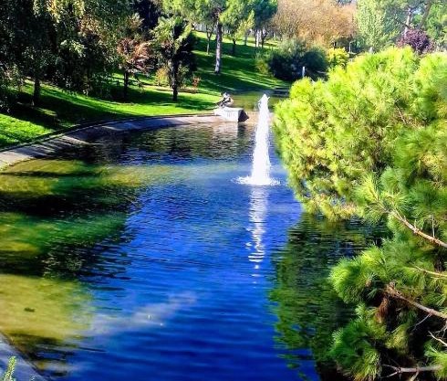 Pradera San Isidro 1