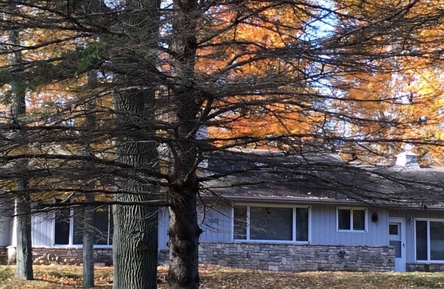 Premier Vacation Rental, Pet Friendly, Walk to Water, Restaurant, Shopping, WiFi