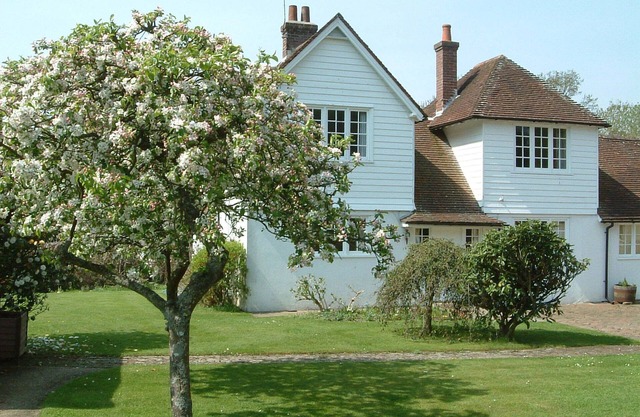 Pretty cottage with direct access to The New Forest