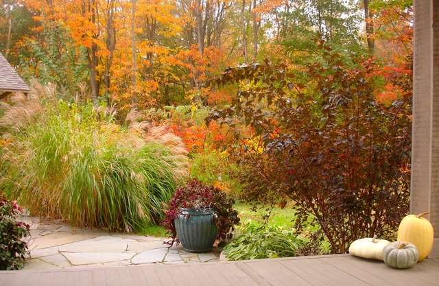 Private 20 acres near Lake Michigan, with your own private fishing pond.