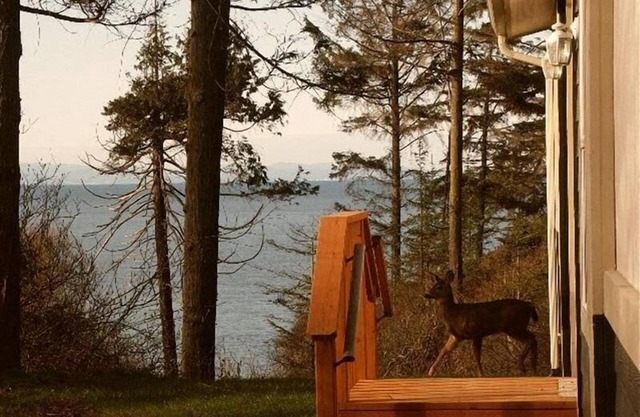 Private Beach Access with beautiful water view between Sequim and Port Angeles