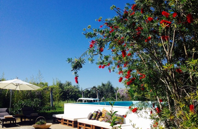 Private farm with pool in the Alentejo