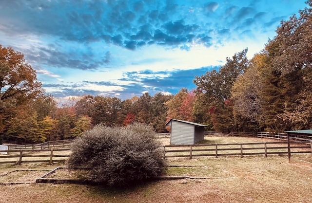 Private Guest House in the Woods situated on 27 acres.