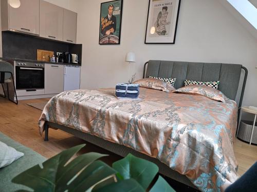 Private Studio Central Vienna