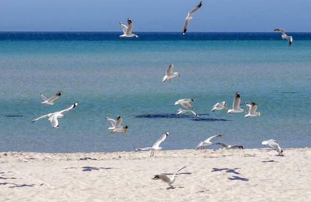 Private vacation home in Safety Beach