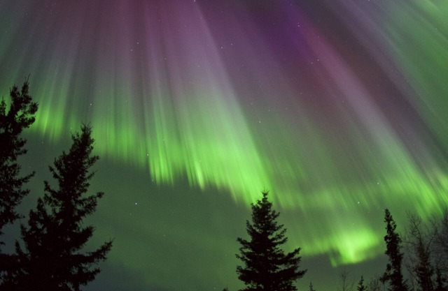 Property near Pioneer Park, Chena River, and the Carlson Center. Sleeps 4