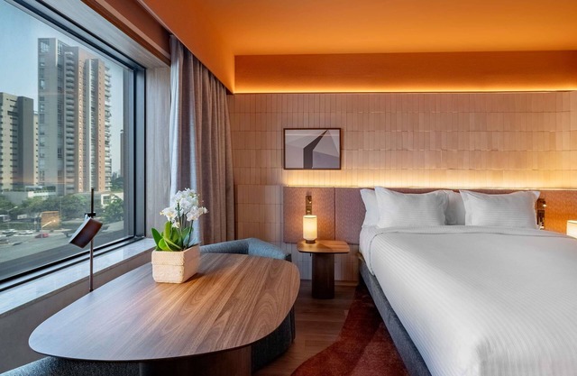 Pullman Sao Paulo Ibirapuera