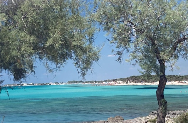 Punta Prosciutto Angel Bay B&B