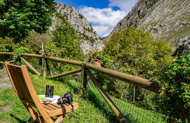 Pure and wild nature in the heart of the Picos de Europa